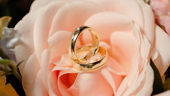 Foto 6 van Uw Trouwringenspecialist Juwelier Rooyackers 