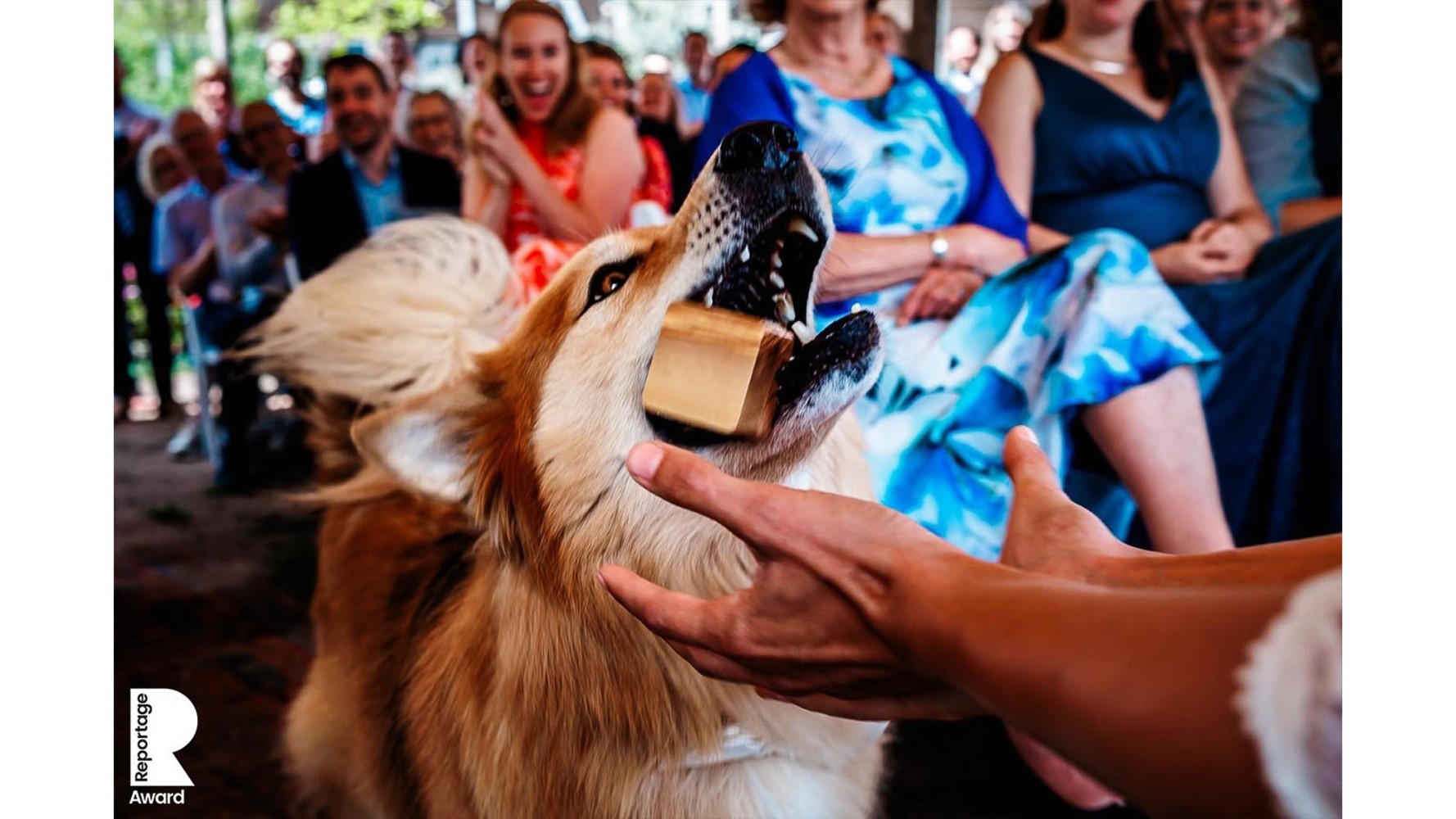 Foto 6 van BestDayEver Fotografie