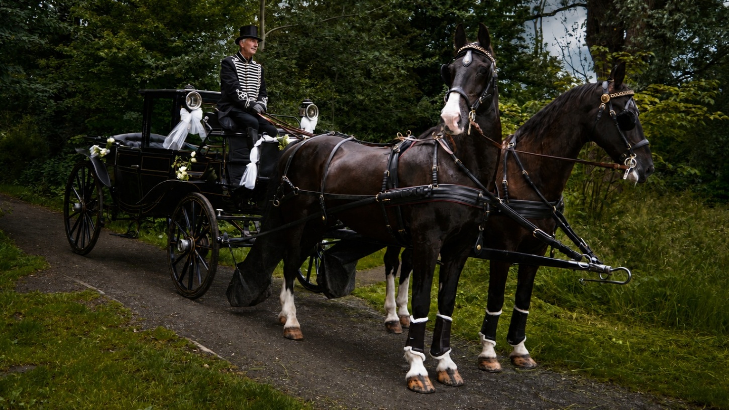 Foto van Stalhouderij Delftsehout 